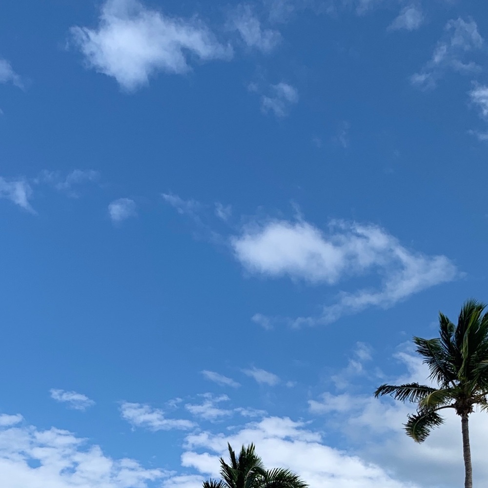 Meet your Posher, Audrey